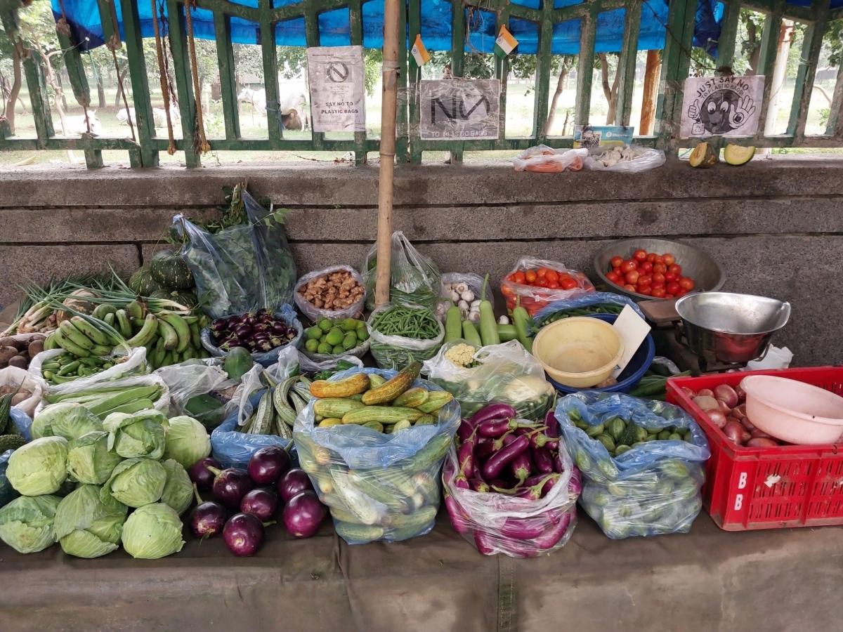 Fruits and vegetables per user goes up in India [Video]