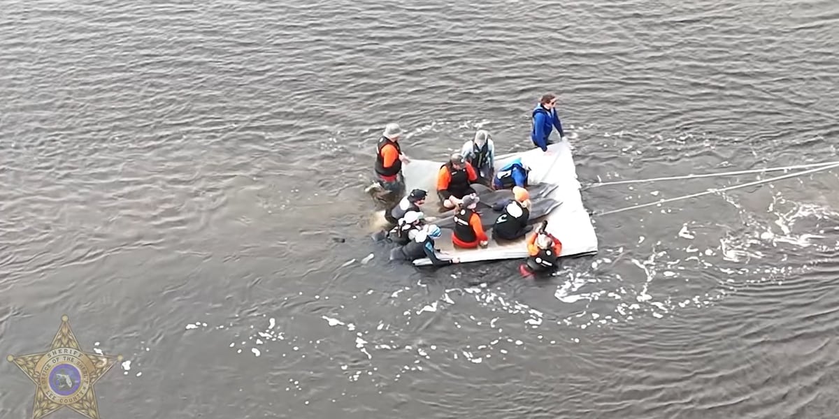 Dolphins rescued from Florida shallows may have been trapped there for more than a month [Video]