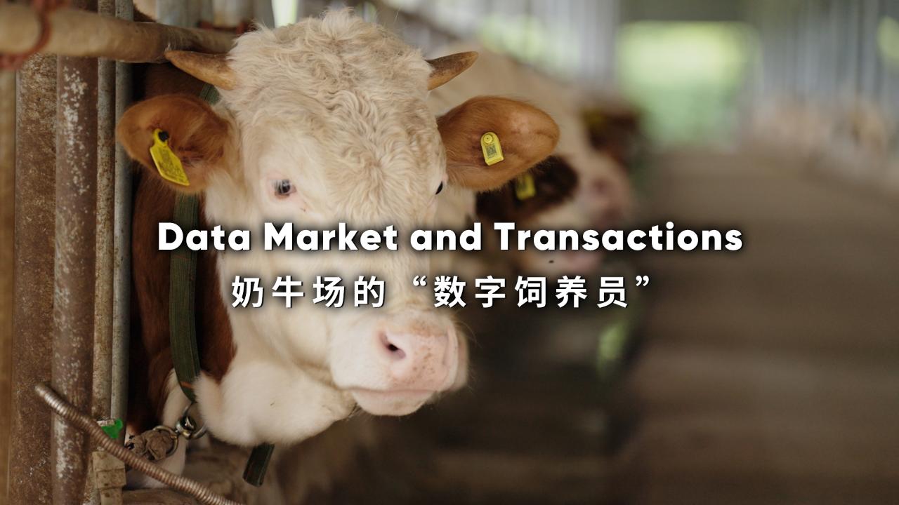 Data Market and Transactions – CGTN [Video]