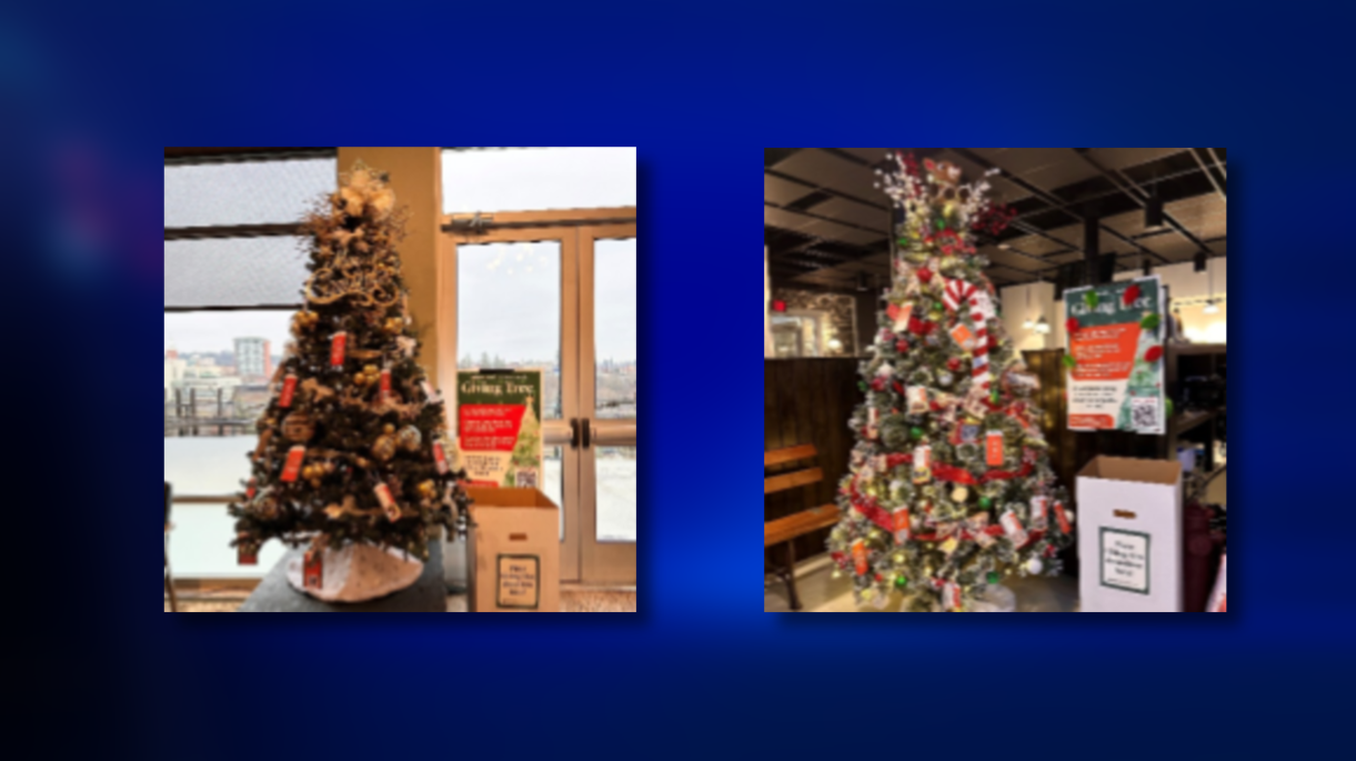 Spokane Humane Society launches giving trees at local businesses to support animals [Video]