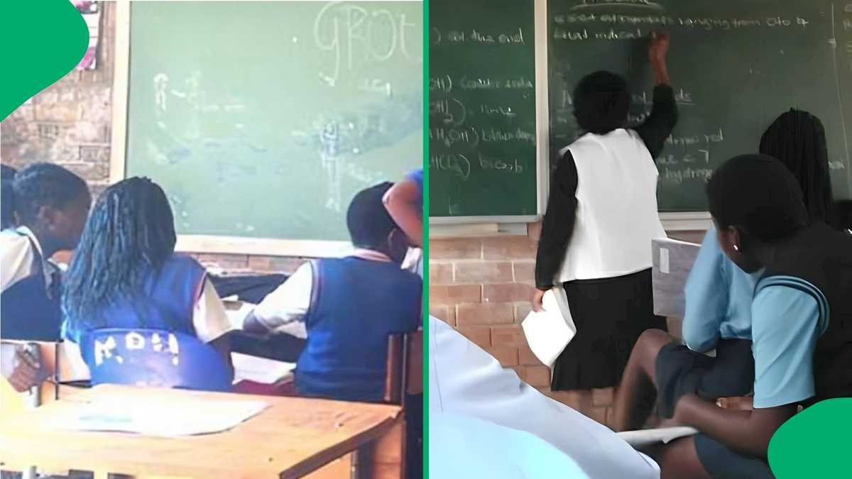 2 Limpopo Pupils Take Their Own Lives After Failing Grade 10, Education Officials Pass Condolences [Video]