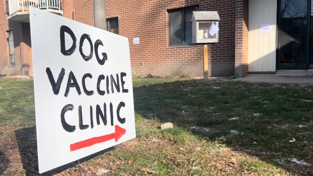 Vaccines being administered amid parvovirus outbreak [Video]