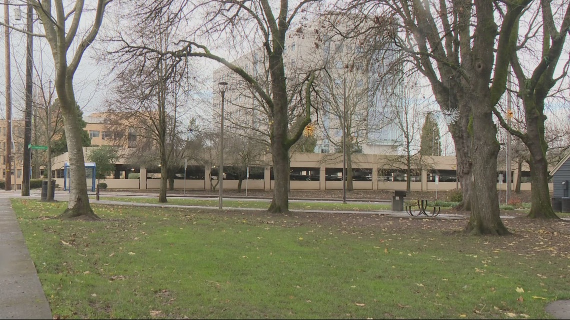 North Portland park receives support for safety improvements from city [Video]