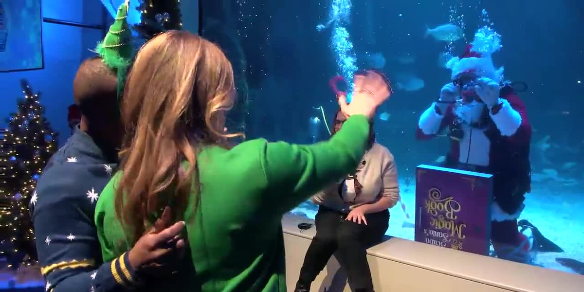 Tri-State Travel Treasures: Social media influencer Savage Mom & Ken head to the Aquarium [Video]