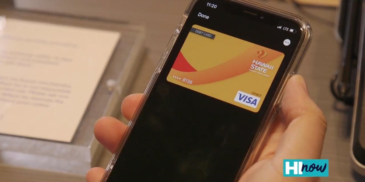 Cybersecurity expert: Digital wallets, the safest way to pay this holiday season [Video]