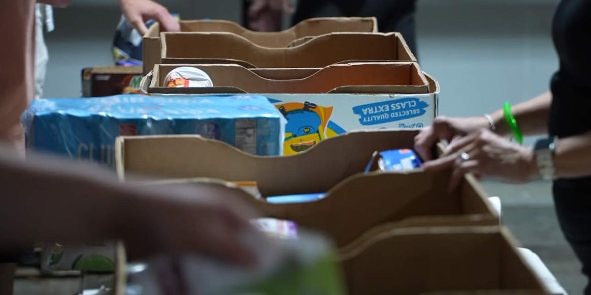 Lowcountry Food Bank fighting holiday food insecurity in the community [Video]