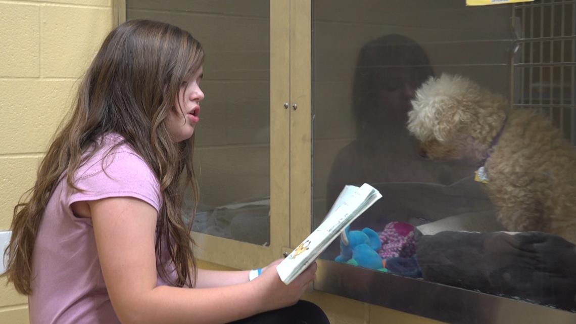 Kids read to shelter dogs athead of holidays at Humane Society of Missouri [Video]