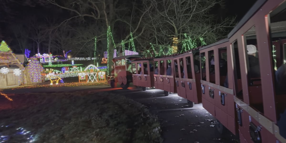 SAFY of Bowling Green hosts holiday party for served members [Video]