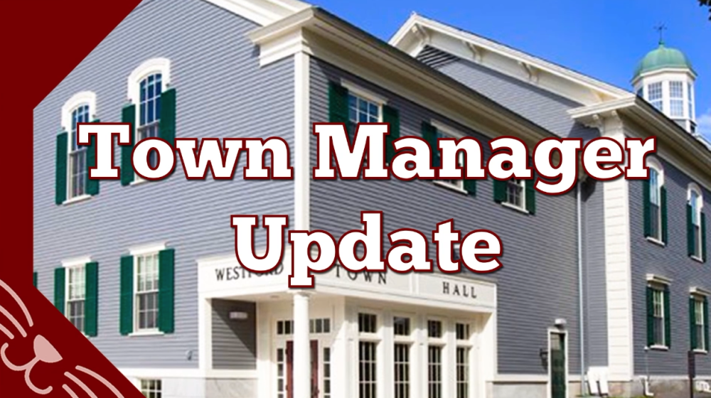 Town Manager