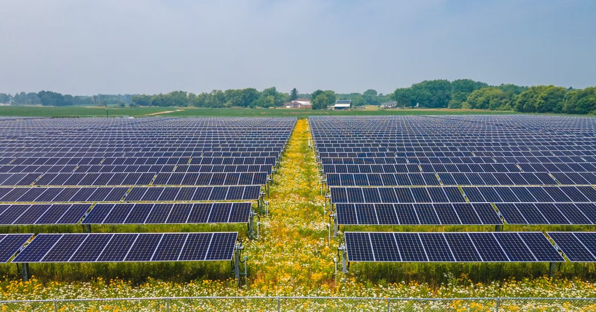 Walmart and Nexamp are rolling out 31 solar farms in 5 states [Video]