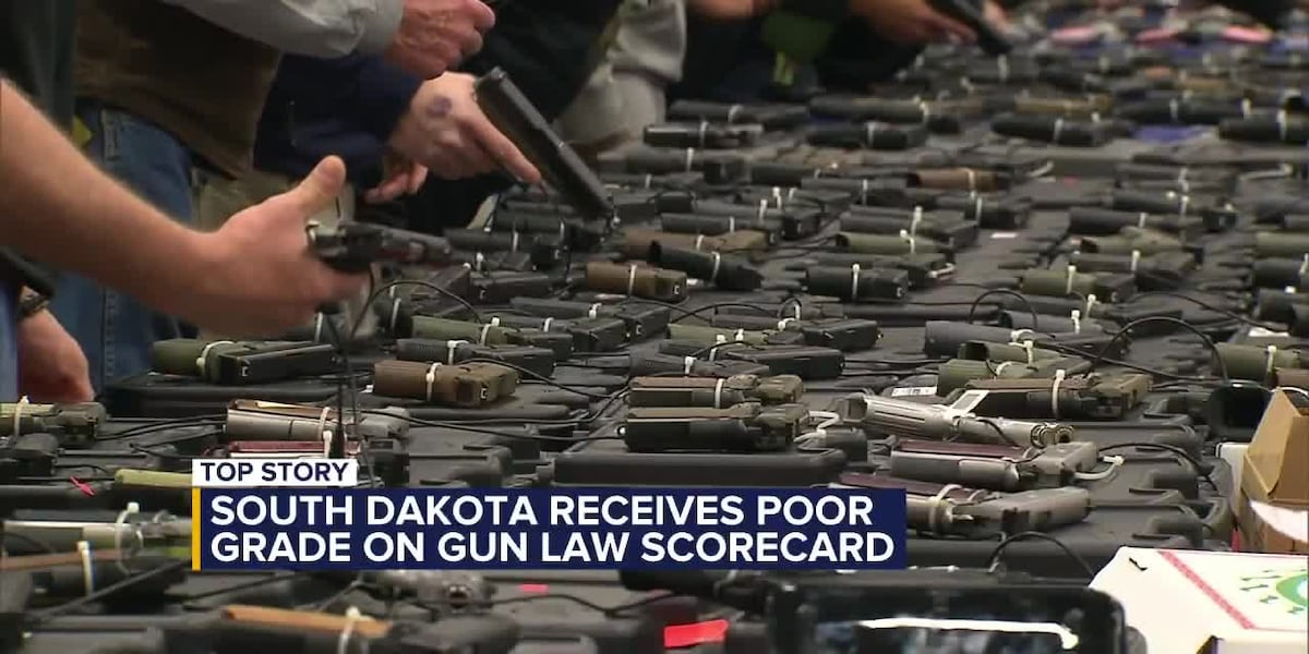 Gun Violence Prevention Organization releases gun law scorecard, South Dakota receives an F [Video]