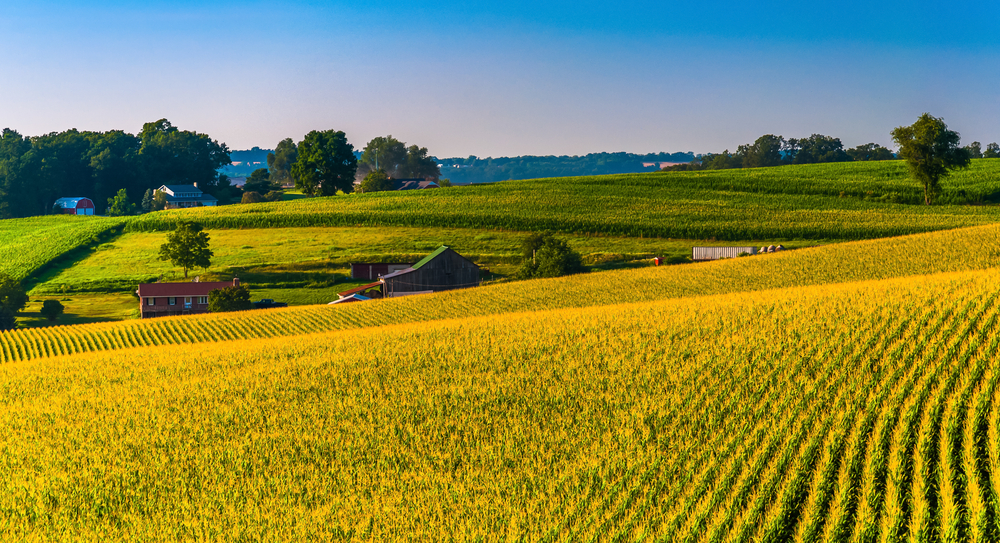 5 Steps To Create An Artificial Intelligence That Will Manage Your Agricultural Robotics [Video]