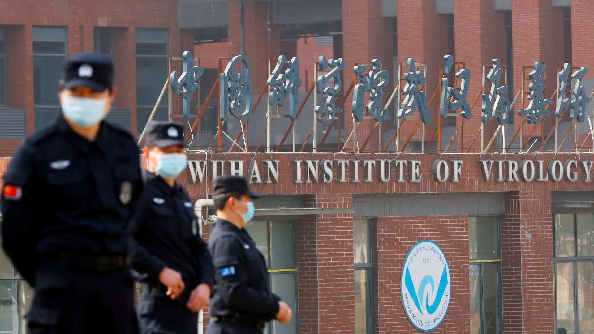 US government backed shock Wuhan lab plan to collect 500,000 viruses months before Covid and KNEW it was dangerous [Video]