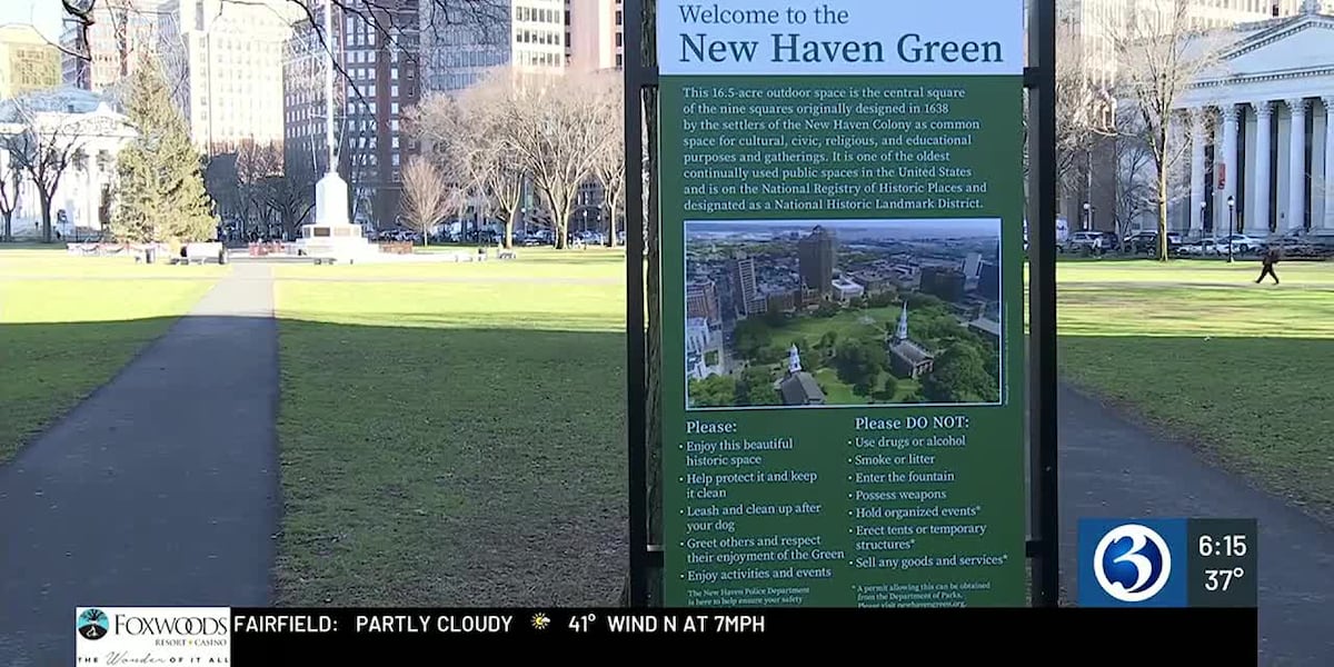 Plans for big changes coming to the New Haven Green [Video]