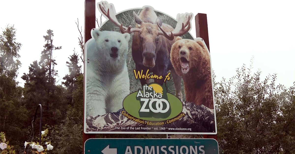 Alaska Zoo hosts annual Gift Giving Drive for animal care and enrichment | Homepage [Video]