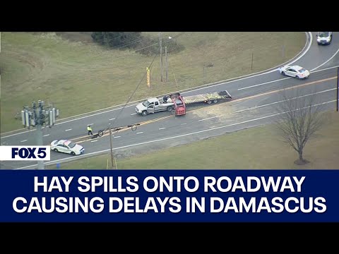 Hay spills onto roadway causing delays in Damascus | FOX 5 DC [Video]