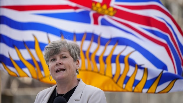 B.C. adds 7 coastal ferry routes to health-care travel program [Video]