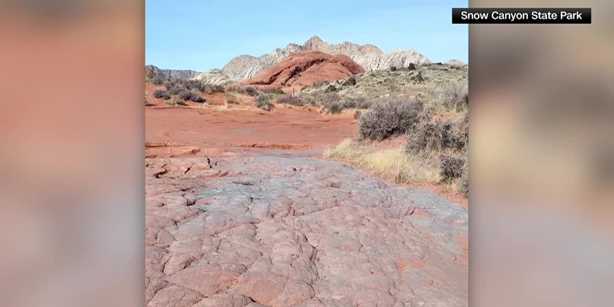 Powder cannon used for baby gender reveals stained red rocks in state park, rangers say [Video]