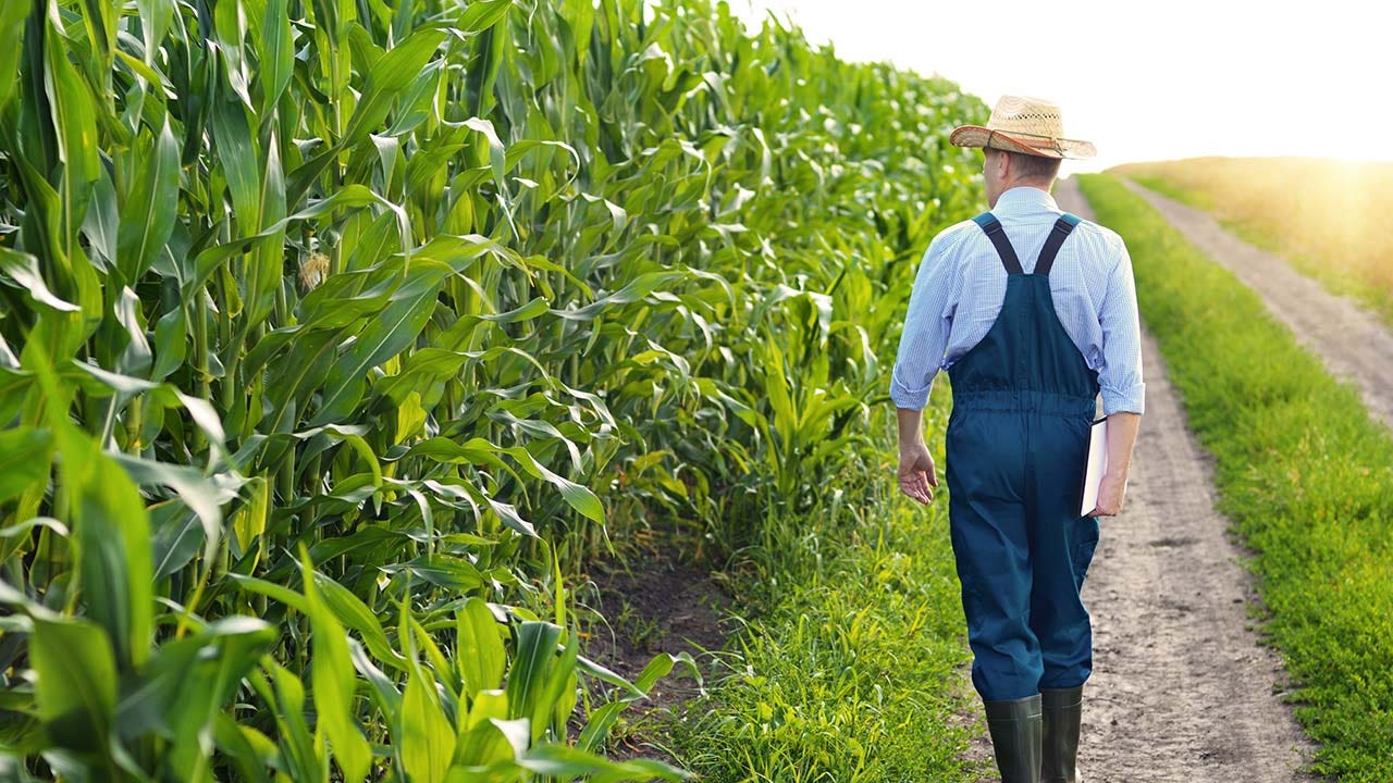 US agriculture primed to be next frontier in cybersecurity in new year, experts, lawmakers say [Video]