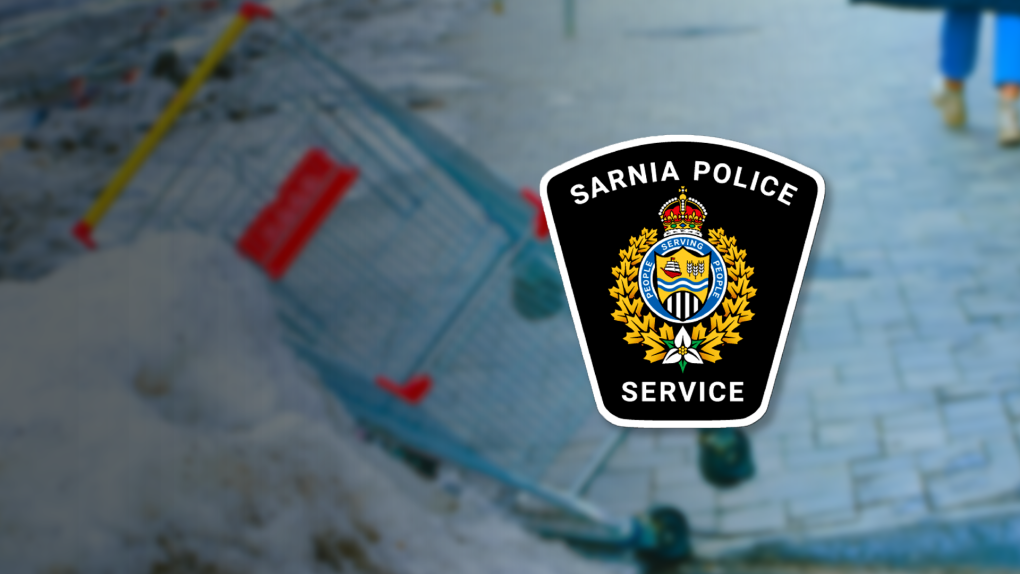 Sarnia Police returns stolen shopping carts to businesses [Video]