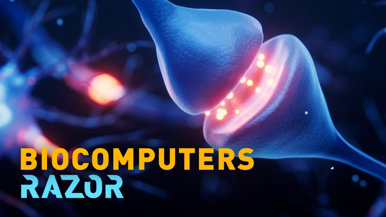 RAZOR: Computers made from human brain cells could transform AI [Video]