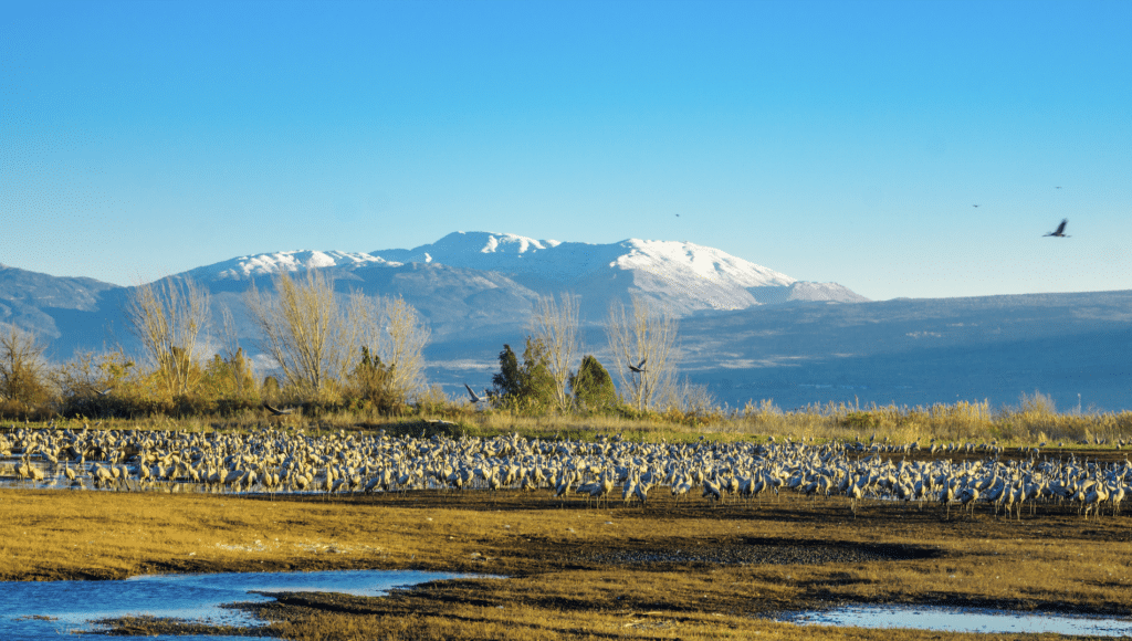 The Significance of Mount Hermon: Eyes of the Middle East [Video]