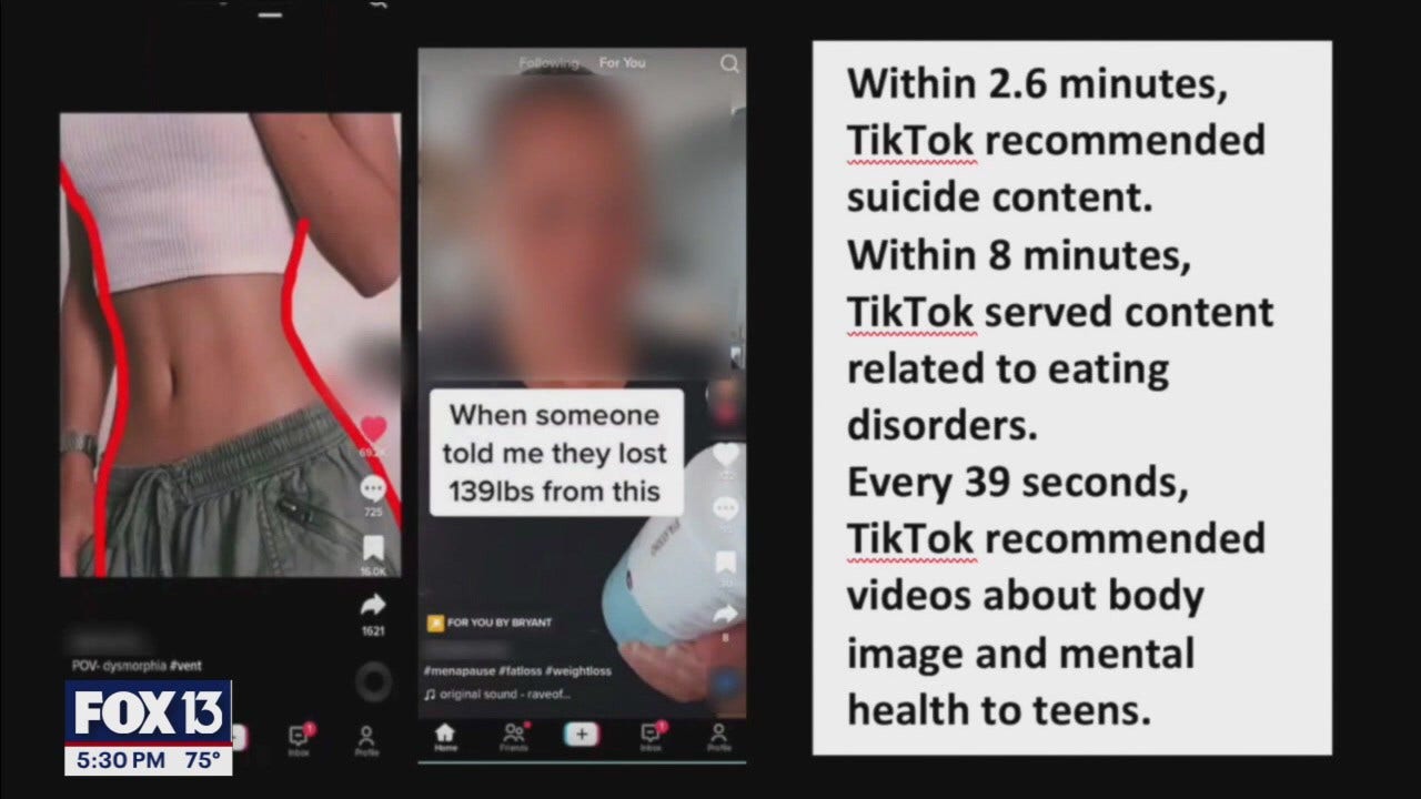 Tik Tok faces potential U.S. ban in 2025 [Video]