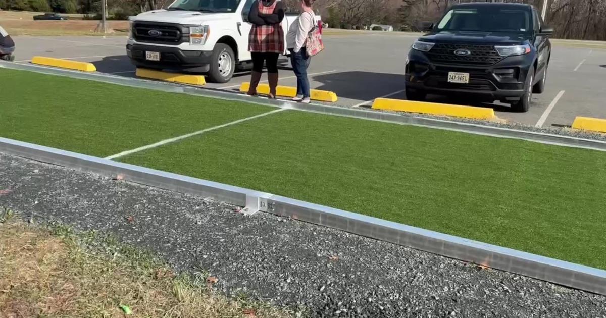 Play (Bocce) ball in Amherst [Video]