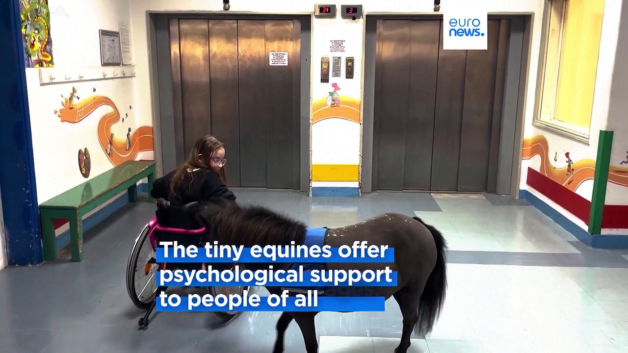 Miniature therapy horses bring joy to Athens [Video]