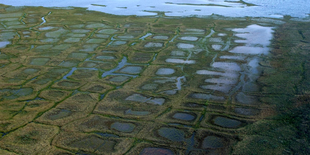 Nearly 1 million acres of land now protected for caribou herd within petroleum reserve [Video]