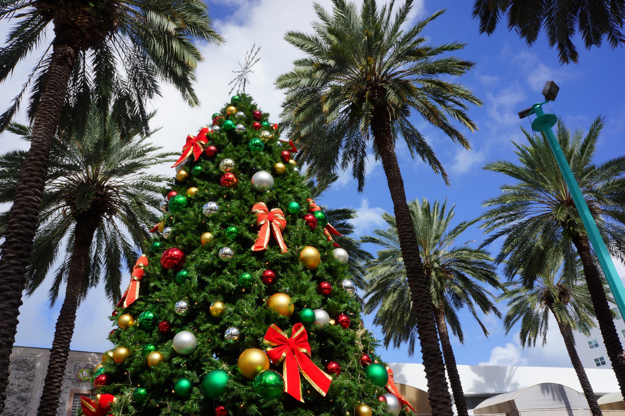 The top 10 Christmas cities in the US, with a surprise city as the winner [Video]