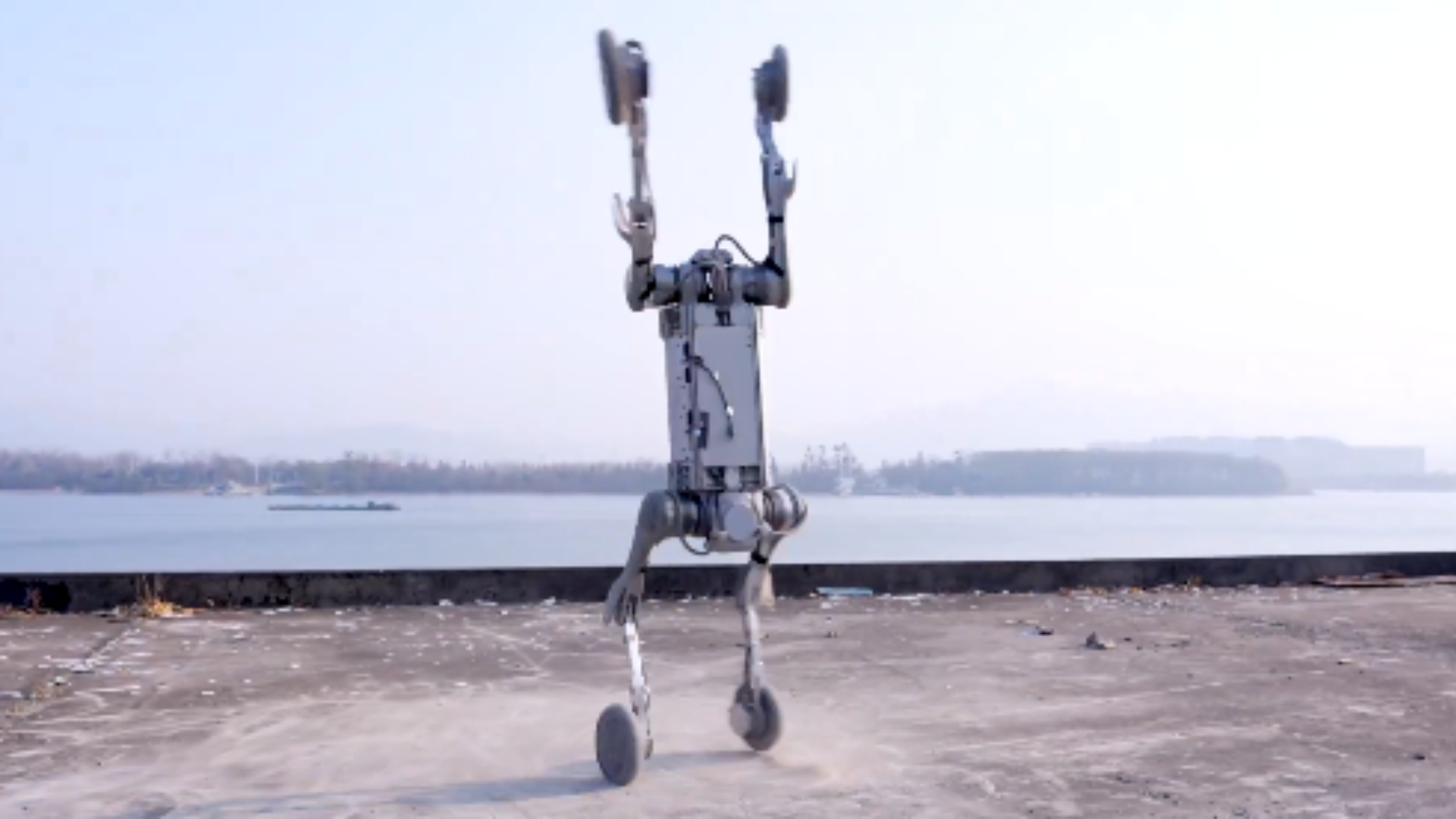 Chinese robot dog nails handstand with stunning agility and skill [Video]