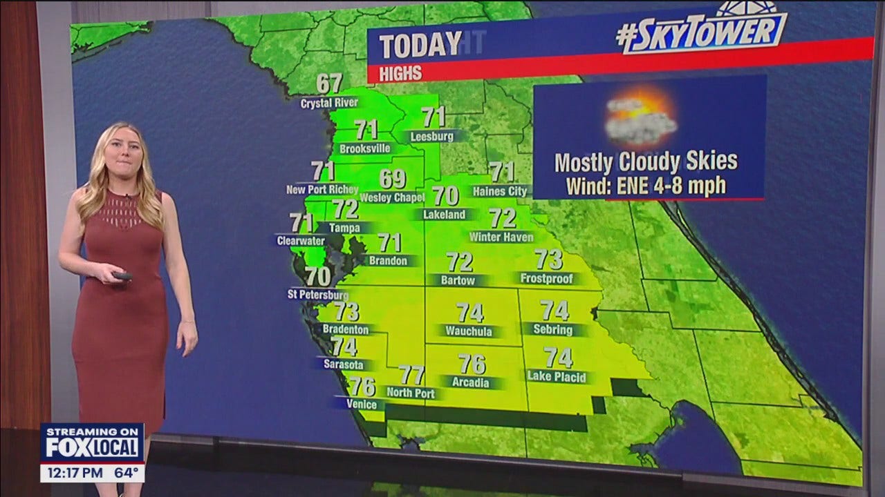 Tampa weather | Cloudy and mild temperatures [Video]