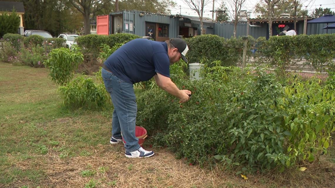 Austell wins agriculture grant | What to know [Video]