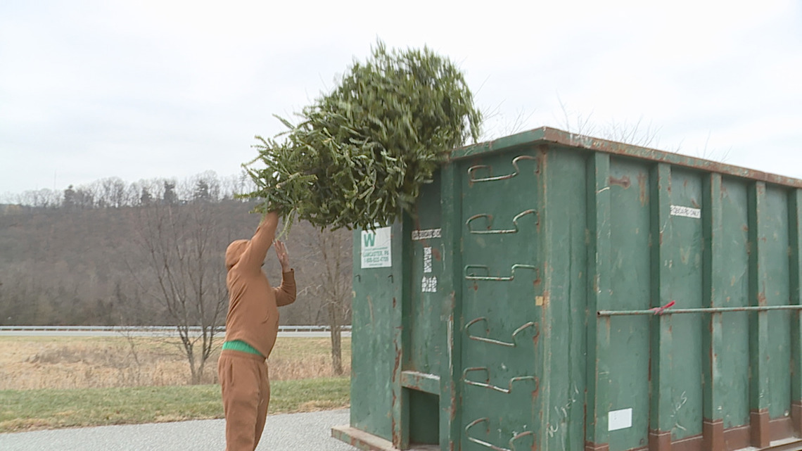 York County Solid Waste Authority kicks off 37th annual Christmas Tree Recycling Program [Video]