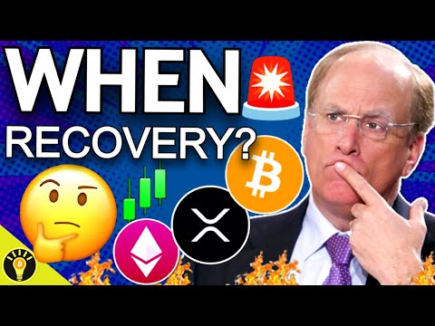 🚨WILL BITCOIN & ALTCOINS GO LOWER BEFORE THE NEXT BULL RUN? [Video]