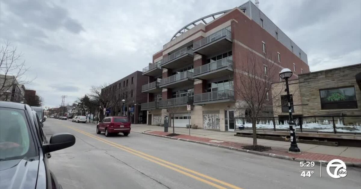 Ann Arbor hopes to attract new development to tackle affordable housing crisis [Video]