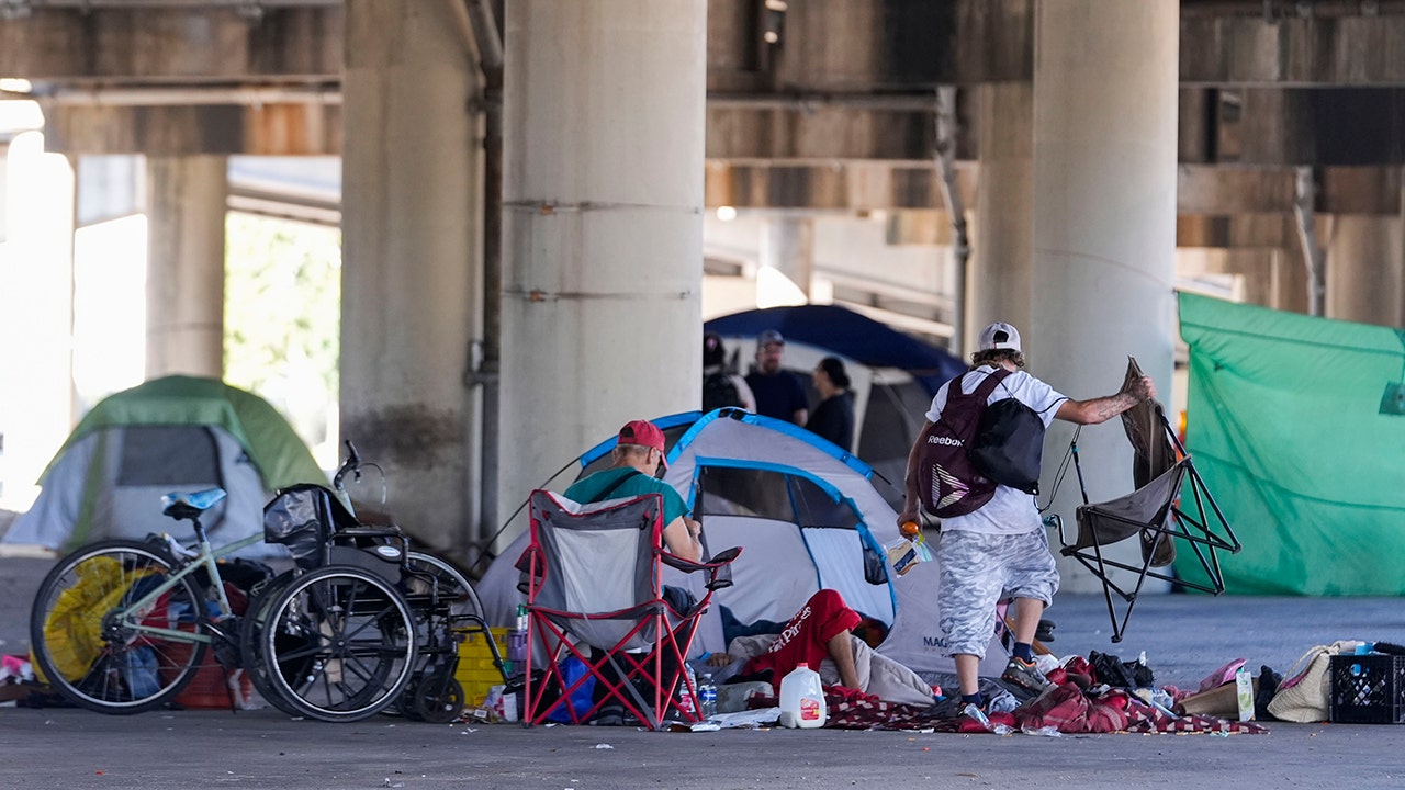 HUD: US homelessness up 18%, cause was asylum seekers in some communities [Video]