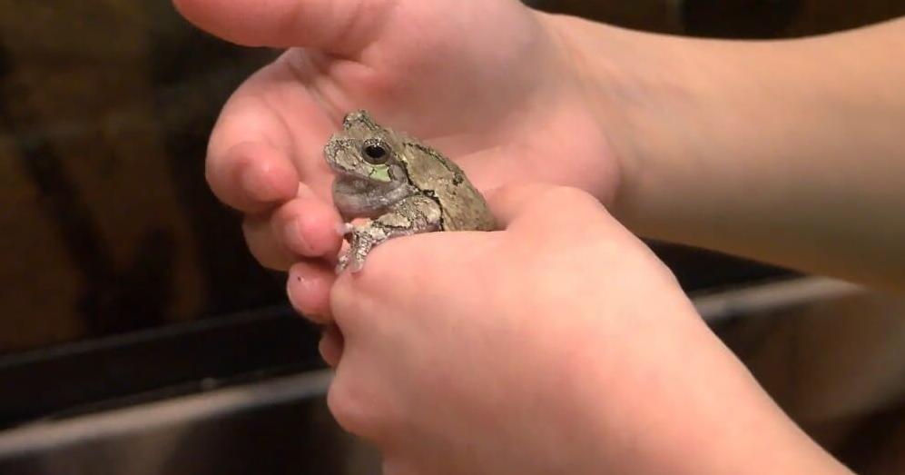 Winter Explorers Camp held at For-Mar Nature Preserve | Community [Video]