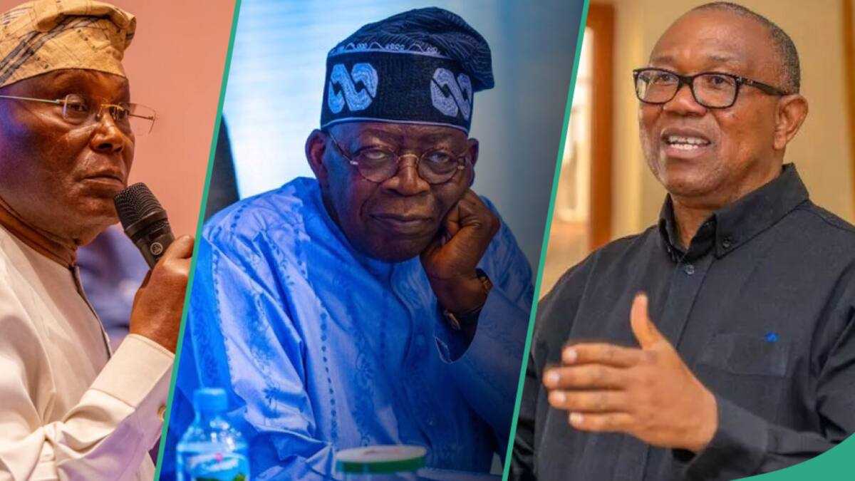 Political Analyst Explains How Kwankwaso, Obi, GEJ Can Form Alliance Against Tinubu in 2025 [Video]