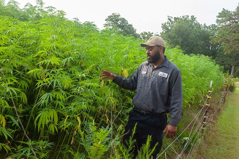 North Carolina Small Farmer of the Year Nourishes his Community, Land, and Legacy [Video]