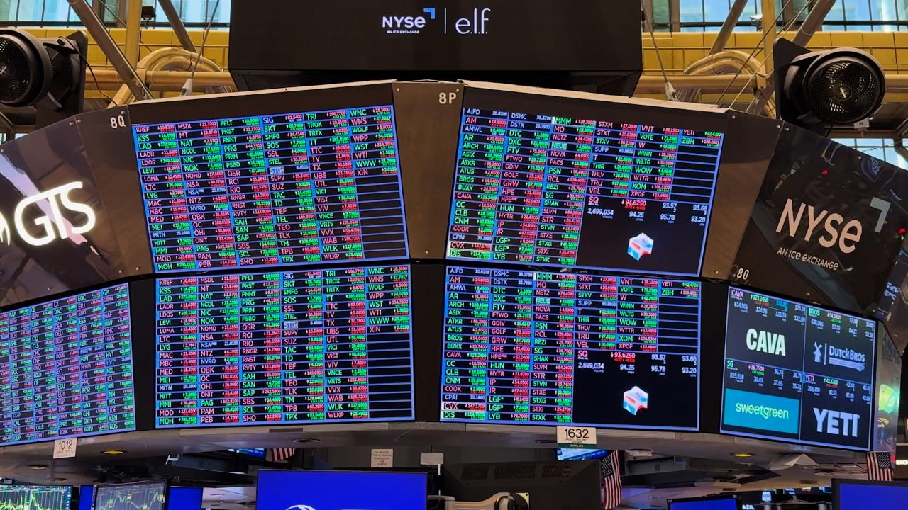 The rollicking stock market of 2024 [Video]