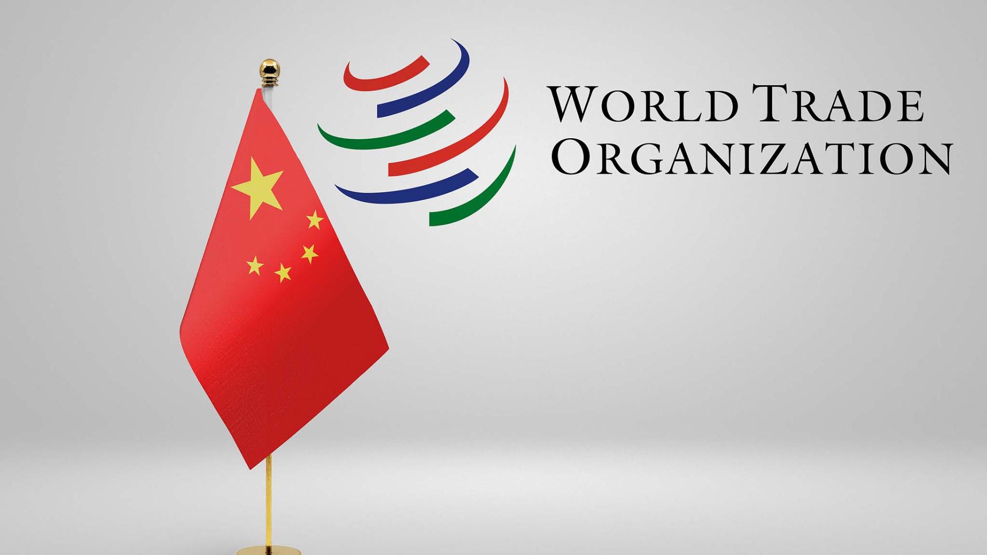 Expert: China is a key contributor to the WTO [Video]