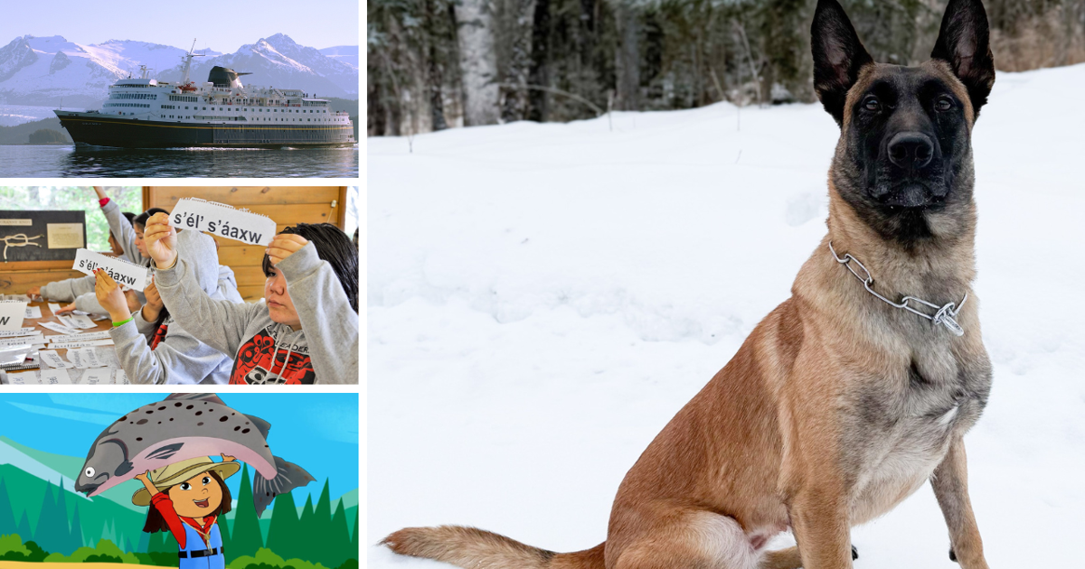 AROUND ALASKA: Wi-Fi Launch, K9 Vest, Language Survey, and Molly of Denali! | Around Alaska [Video]