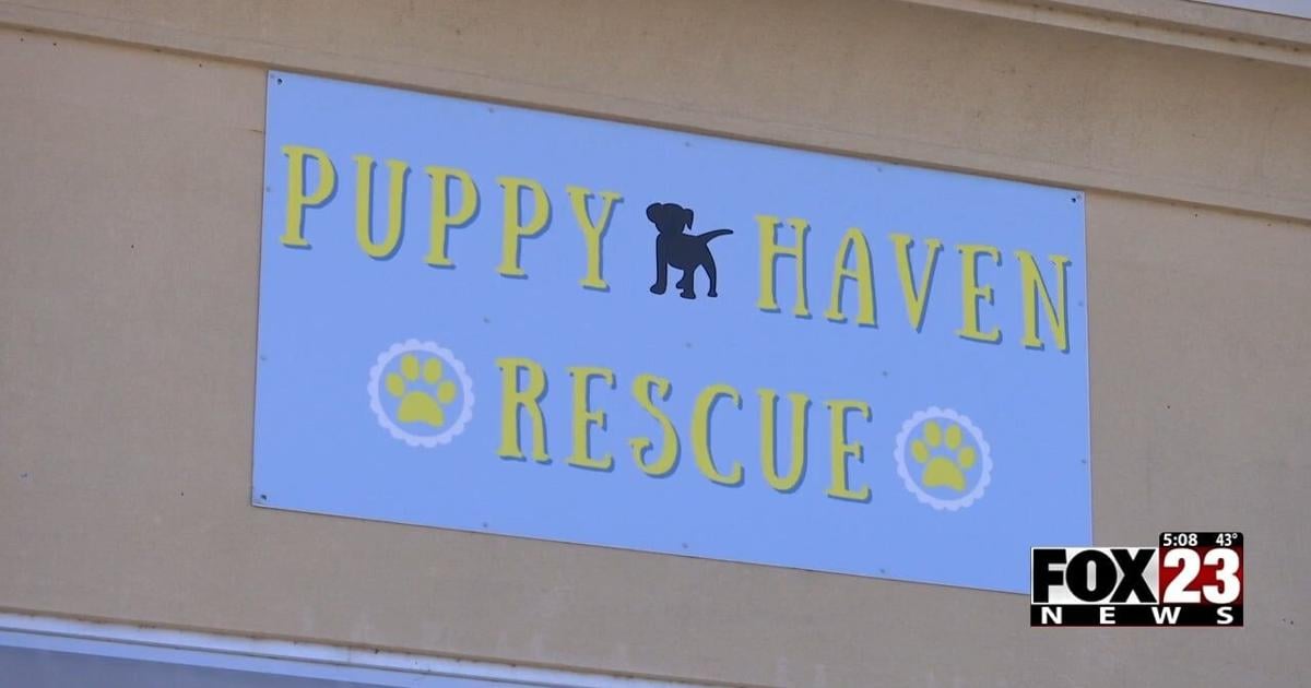 A Bixby animal rescue receives New Year’s Day miracle donation | News [Video]