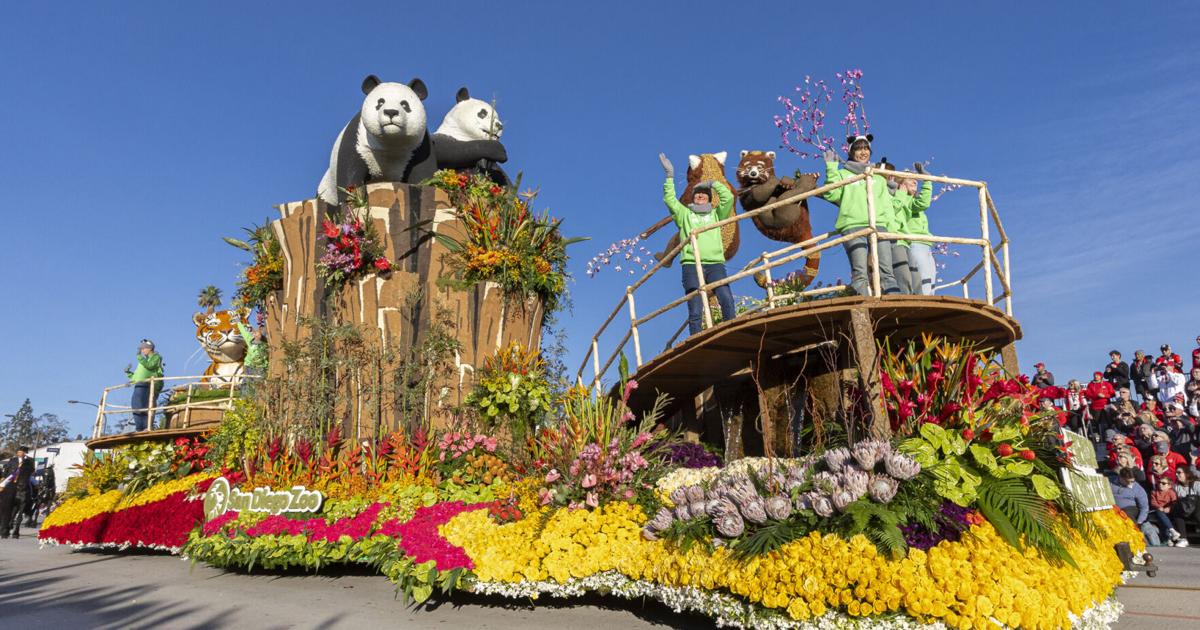 San Diego Zoo Wildlife Alliance Named Sweepstakes Winner in 136th Rose Parade Presented by Honda for Second Consecutive Year | PR Newswire [Video]