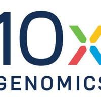 10x Genomics to Present at the 43rd Annual J.P. Morgan Healthcare Conference | PR Newswire [Video]