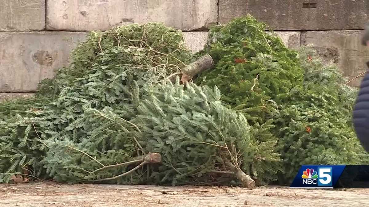 Vermont fire officials provide tips on how to dispose of Christmas trees [Video]