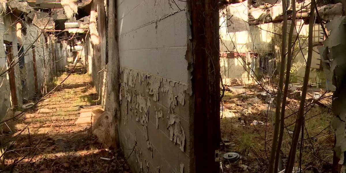 Dilapidated former school to be demolished [Video]