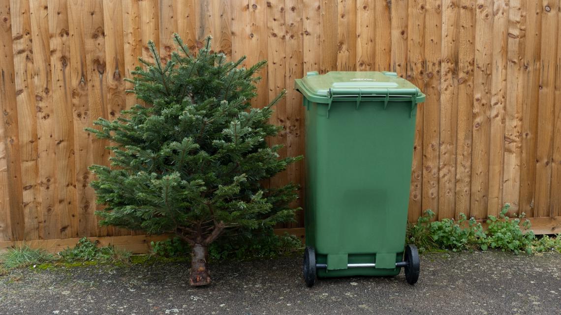 Huntsvilles Operation Christmas Cleanup: Dispose of your live tree [Video]